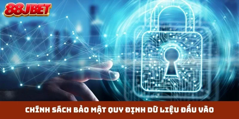 Chính sách bảo mật quy định dữ liệu đầu vào